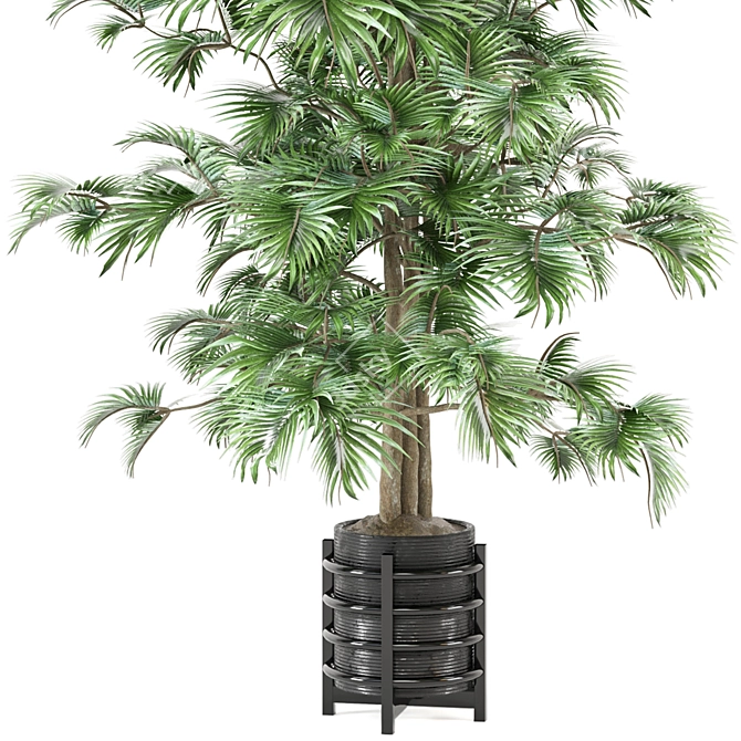 Modern Indoor Plants Set 879 3D model image 2