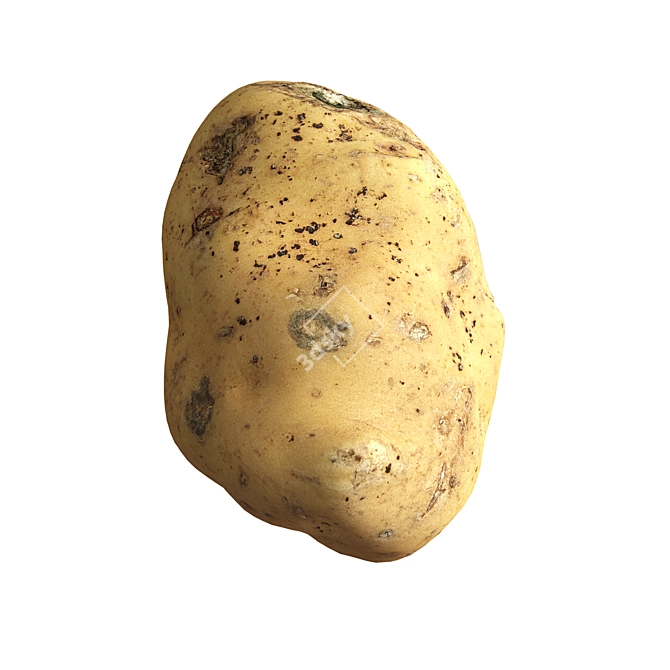 Realistic Potato 3D Model Kit 3D model image 3