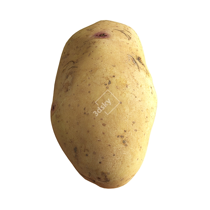 Realistic Potato 3D Model Kit 3D model image 5