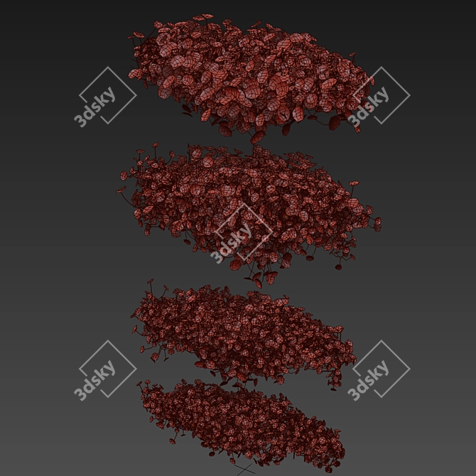 Premium Outdoor Schefflera Bush Plant 3D model image 7