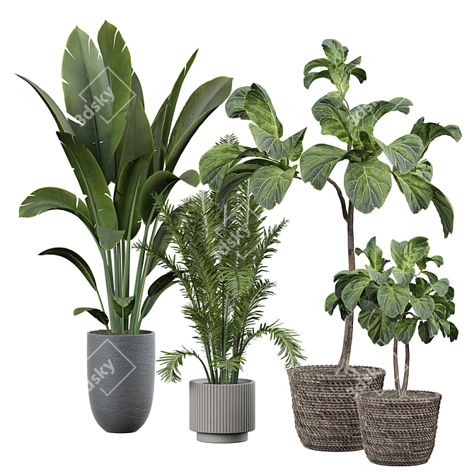 Versatile Indoor Plant 315 Model 3D model image 1