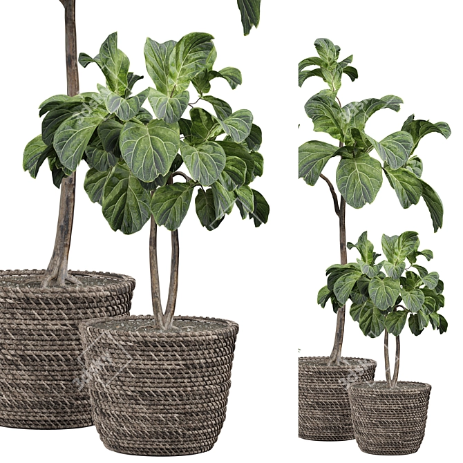 Versatile Indoor Plant 315 Model 3D model image 2