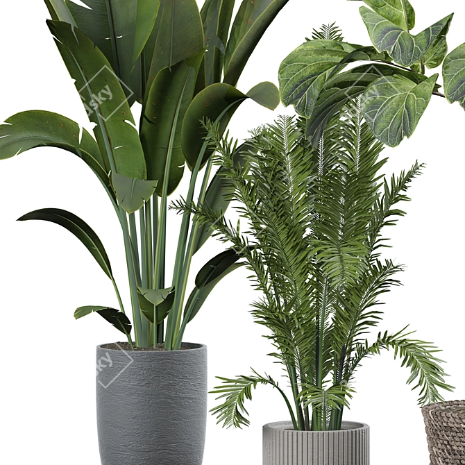 Versatile Indoor Plant 315 Model 3D model image 3