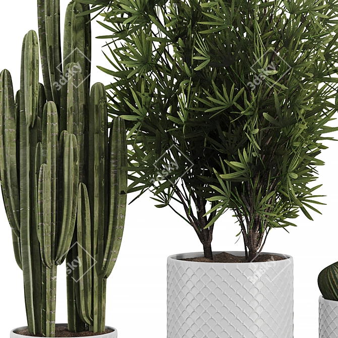 Botanical Duo: Cactus & Palm 3D model image 3