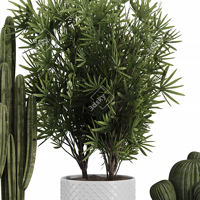 Botanical Duo: Cactus & Palm 3D model image 5