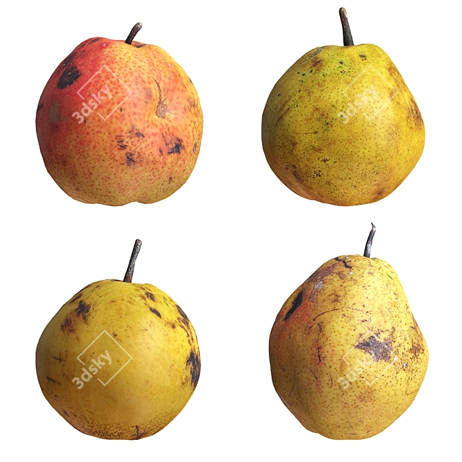 4 Realistic Pears Set, 3D 3D model image 1