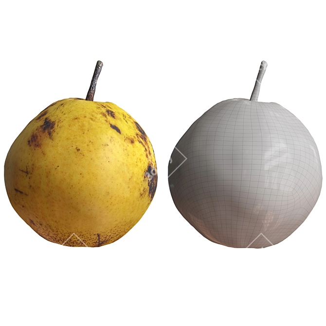 4 Realistic Pears Set, 3D 3D model image 4