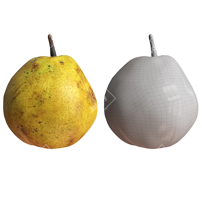 4 Realistic Pears Set, 3D 3D model image 5