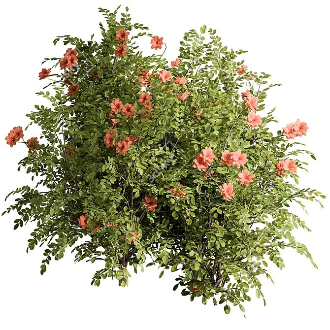 Blooming Bush Set 113 3D model image 1