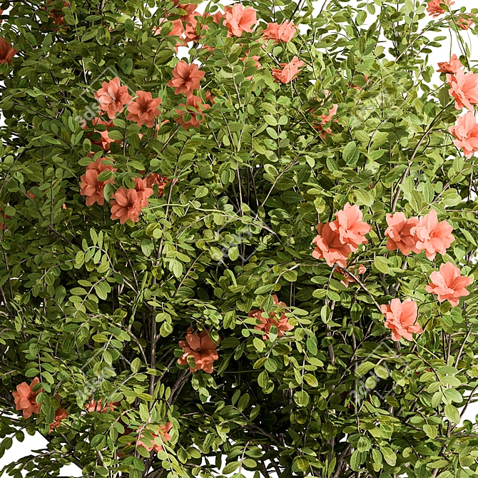 Blooming Bush Set 113 3D model image 2