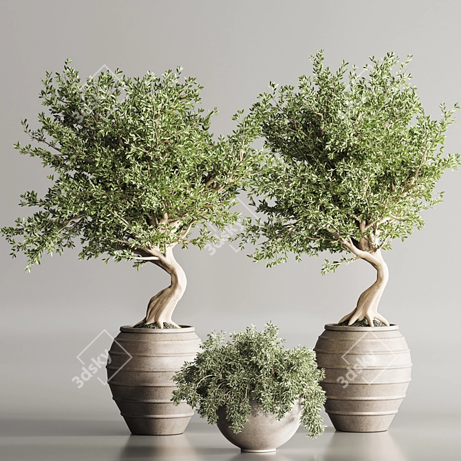 3Ds Max Indoor Plants 112 3D model image 2