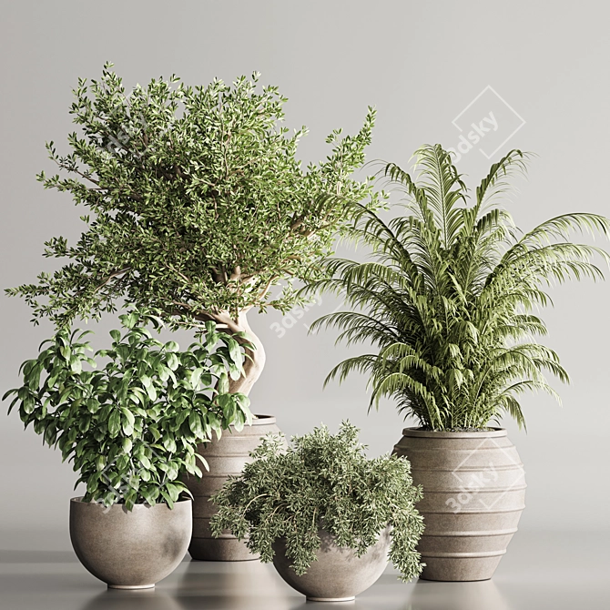 3Ds Max Indoor Plants 112 3D model image 3