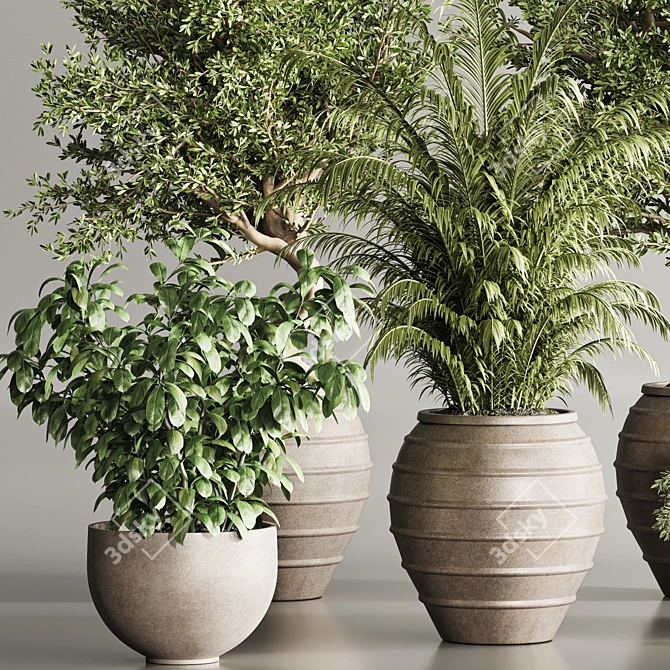 3Ds Max Indoor Plants 112 3D model image 4