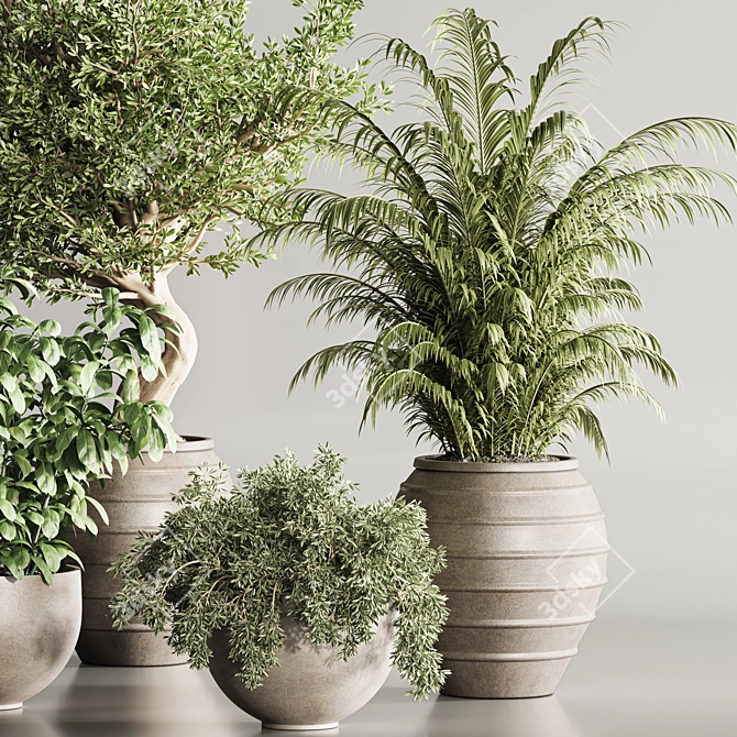 3Ds Max Indoor Plants 112 3D model image 5