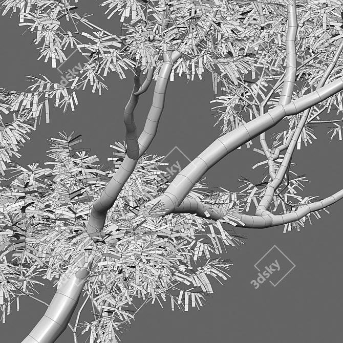 Versatile 3D Plant Models Collection 3D model image 4