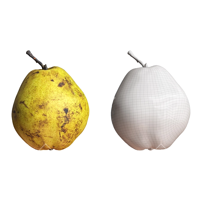 Pear-fection: 4 Realistic Pears 3D model image 4