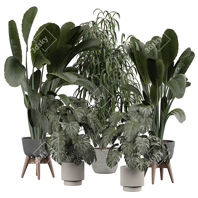 Modern Indoor Plant 3D Model 3D model image 1