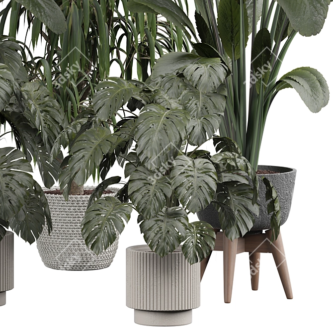 Modern Indoor Plant 3D Model 3D model image 2