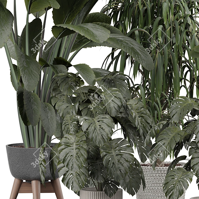 Modern Indoor Plant 3D Model 3D model image 3