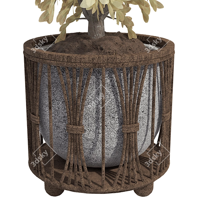 Decorative Bonsai Tree Wicker Pot 3D model image 6