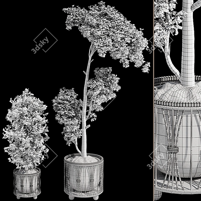 Decorative Bonsai Tree Wicker Pot 3D model image 7