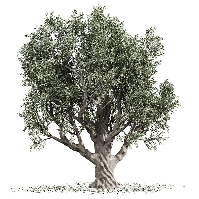 Vintage Olive Tree Sculpture 3D model image 2