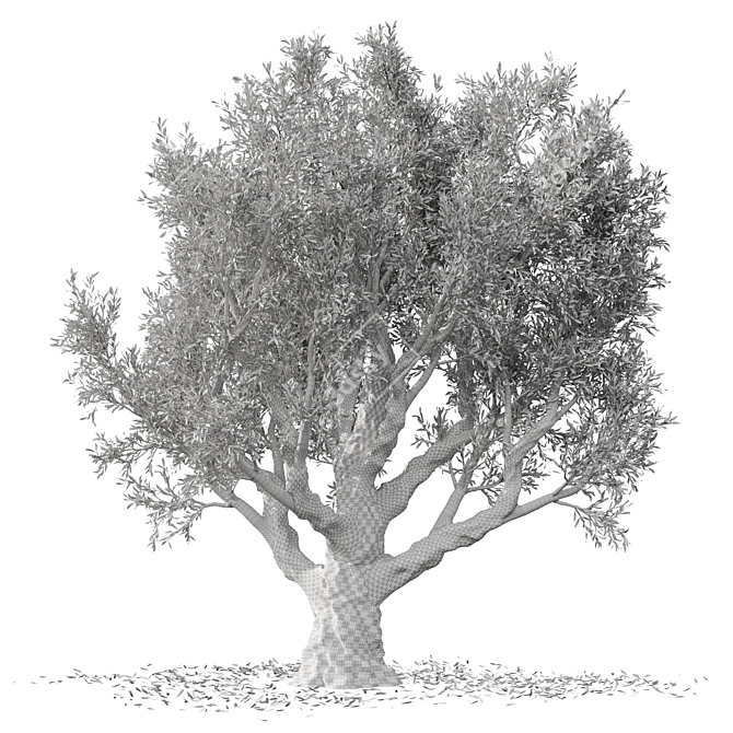 Vintage Olive Tree Sculpture 3D model image 3