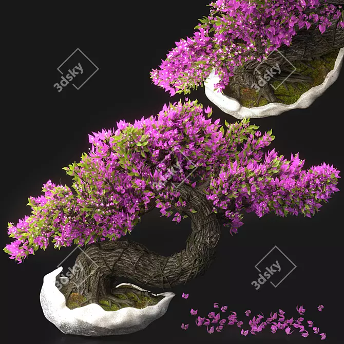 Blossom Bonsai Tree Set - V-Ray 3D model image 1