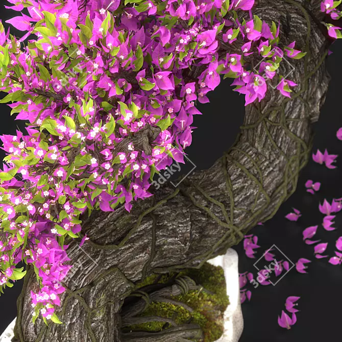 Blossom Bonsai Tree Set - V-Ray 3D model image 2