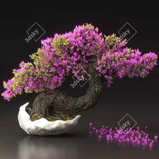 Blossom Bonsai Tree Set - V-Ray 3D model image 3