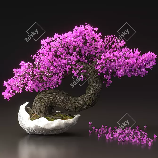 Blossom Bonsai Tree Set - V-Ray 3D model image 5