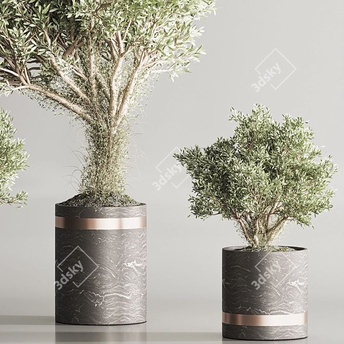  HaniNa Indoor Plant Set 113 3D model image 4