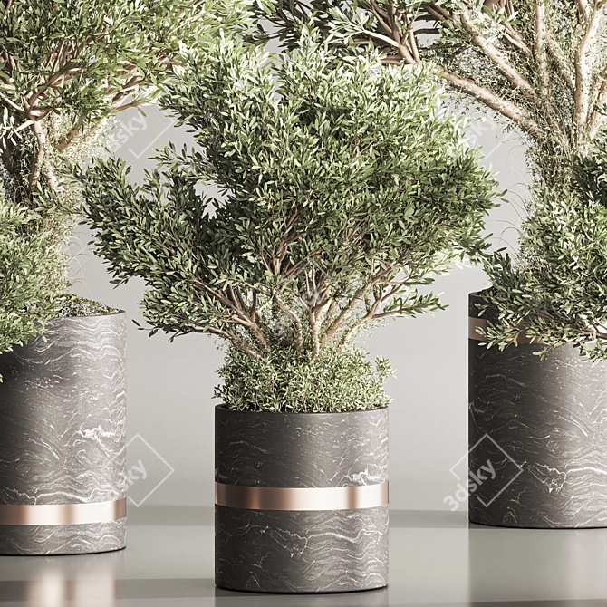  HaniNa Indoor Plant Set 113 3D model image 6