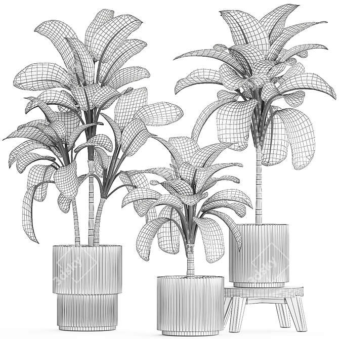 Tropical Dieffenbachia Plant in Concrete Pot 3D model image 6