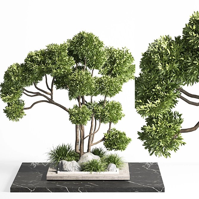 Modern Indoor Plant Set 012 3D model image 1