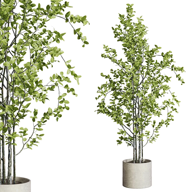 Concrete Vase Branch Tree Set 3D model image 1