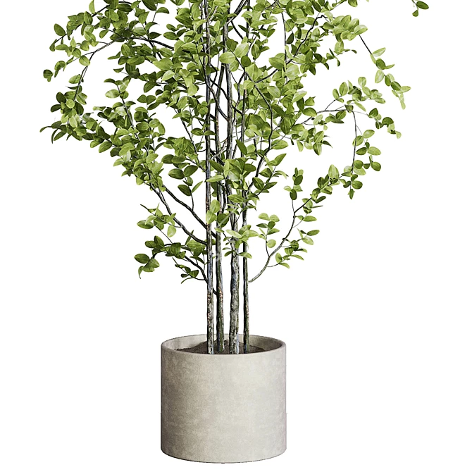 Concrete Vase Branch Tree Set 3D model image 2