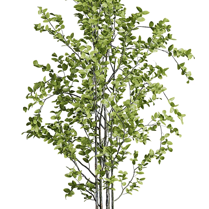 Concrete Vase Branch Tree Set 3D model image 3