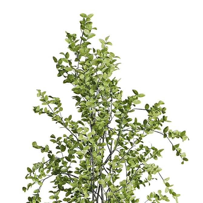 Concrete Vase Branch Tree Set 3D model image 4