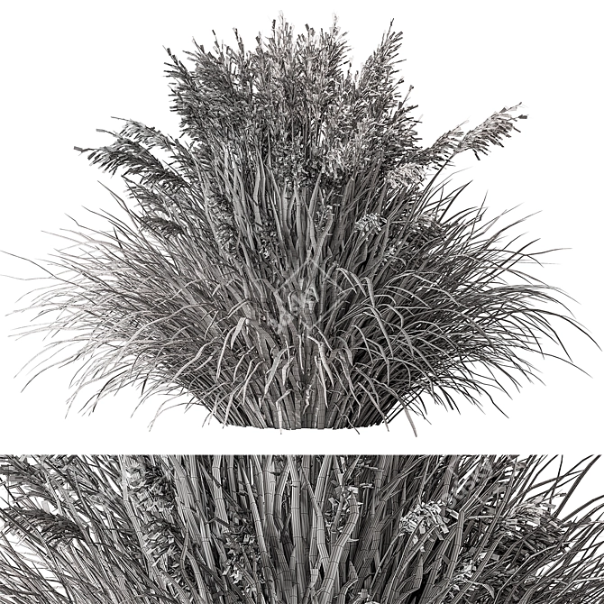 24-Piece White Flower Grass 3D model image 3