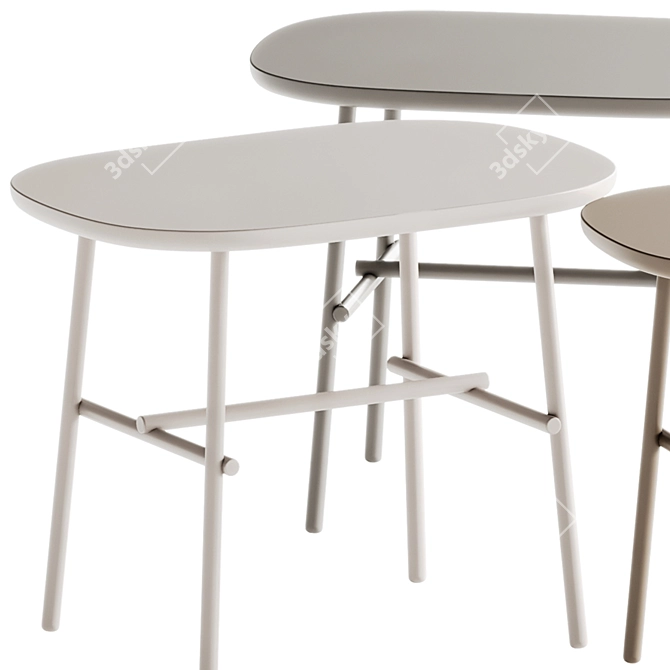 Sleek Tacchini Coffee Tables Set 3D model image 4