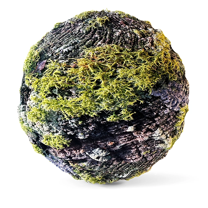 Moss Material Texture Pack 3D model image 1