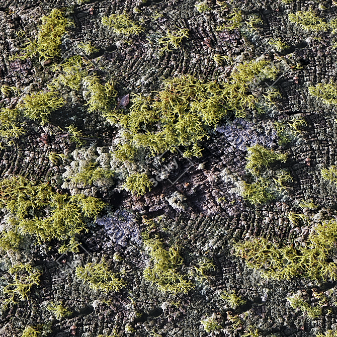 Moss Material Texture Pack 3D model image 2