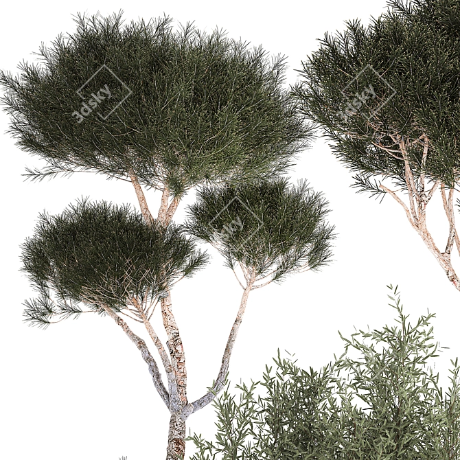 Modern Concrete Plant Trees Collection 3D model image 2