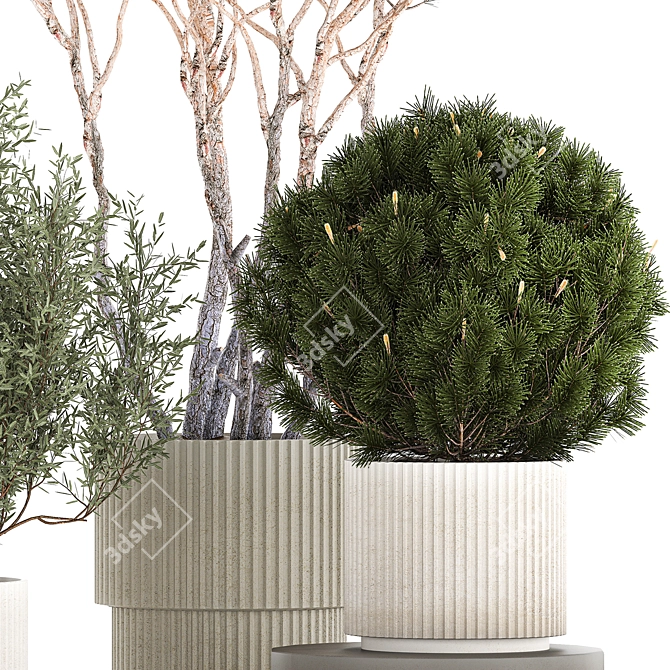 Modern Concrete Plant Trees Collection 3D model image 3