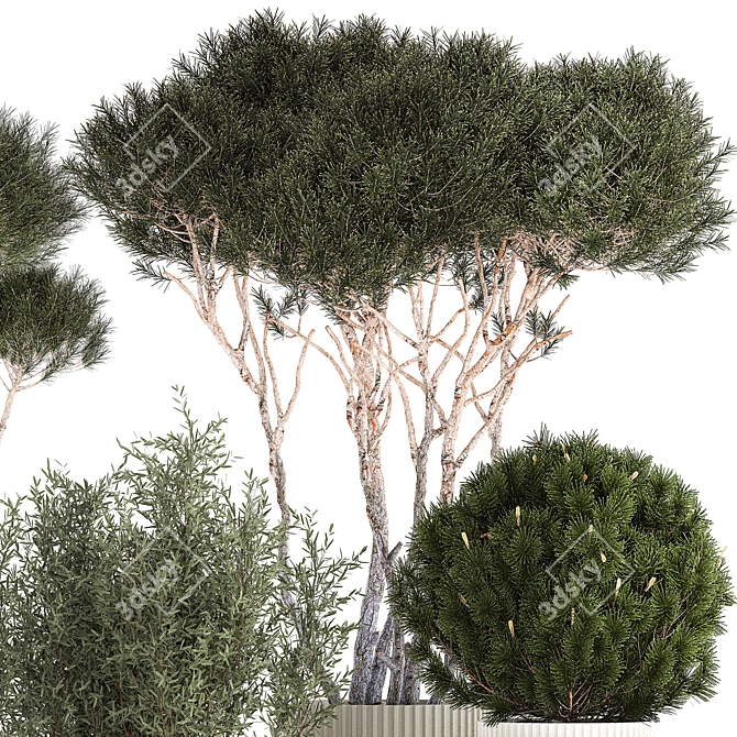 Modern Concrete Plant Trees Collection 3D model image 4