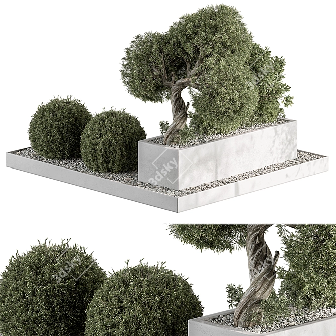 Outdoor Garden Box Plants 3D model image 2