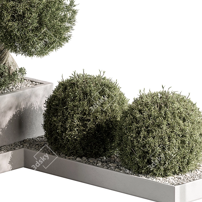 Outdoor Garden Box Plants 3D model image 4