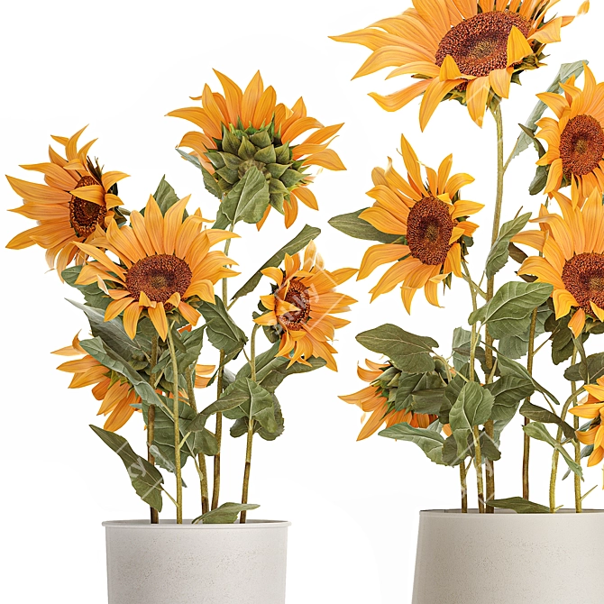 Title: Sunflower Collection in Concrete Planters 3D model image 2