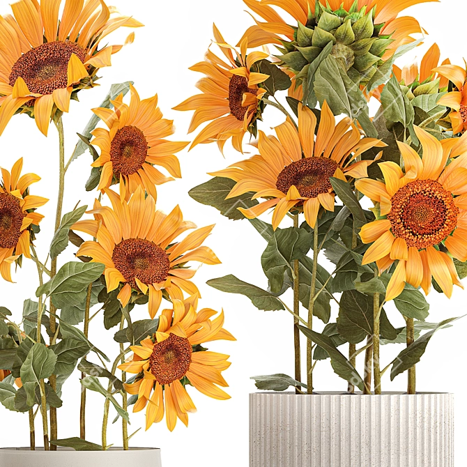 Title: Sunflower Collection in Concrete Planters 3D model image 3